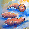 sweet-potato